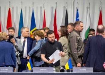 צילום: איי.אף.פיי