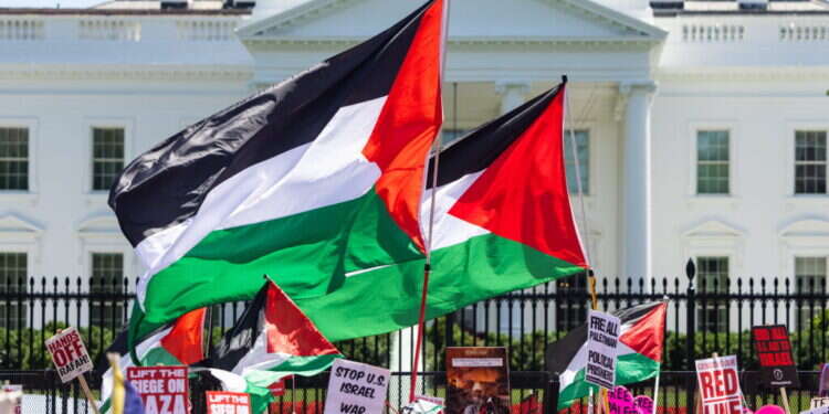 דגלי פלסטין מול הבית הלבן, בהפגנת תמיכה בחמאס וחיזבאללה, יוני 24'. צילום: EPA/JIM LO SCALZO "הרגו עוד ציוני": מועמדת לנשיאות ארה"ב השתתפה בהפגנת תמיכה בחמאס