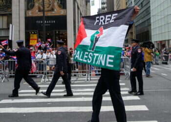 מפגין פרו-פלסטיני בניו-יורק
