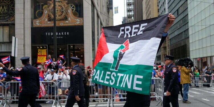 מפגין פרו-פלסטיני בניו-יורק
