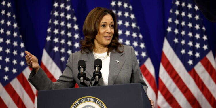 סגנית הנשיא ומועמדת המפלגה הדמוקרטית לנשיאות, קמלה האריס. צילום: AFP סגנית הנשיא ומועמדת המפלגה הדמוקרטית לנשיאות, קמלה האריס. צילום: AFP