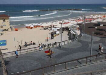 בעקבות התגברות קדחת הנילוס: הצעדים בהם נוקטת עיריית תל אביב