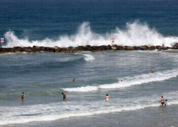 בעקבות התגברות קדחת הנילוס: הצעדים בהם נוקטת עיריית תל אביב