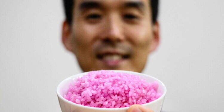 פרופ' הונג ג'ין-קי הקוריאני עם "אורז בשרי": ההמצאה הקוריאנית שעשויה לחולל מהפכה עולמית בתחום המזון