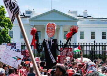 "הרגו עוד ציוני": מועמדת לנשיאות ארה"ב השתתפה בהפגנת תמיכה בחמאס