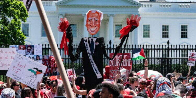"הרגו עוד ציוני": מועמדת לנשיאות ארה"ב השתתפה בהפגנת תמיכה בחמאס