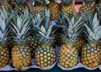 כבר לא סמל יוקרה. אננס. צילום: נתי שוחט, פלאש 90