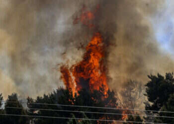 יער ביריה עולה באש, כתוצאה מירי טילי חיזבאללה. צילום: דוד כהן, פלאש 90 יער ביריה עולה באש, כתוצאה מירי טילי חיזבאללה. צילום: דוד כהן, פלאש 90