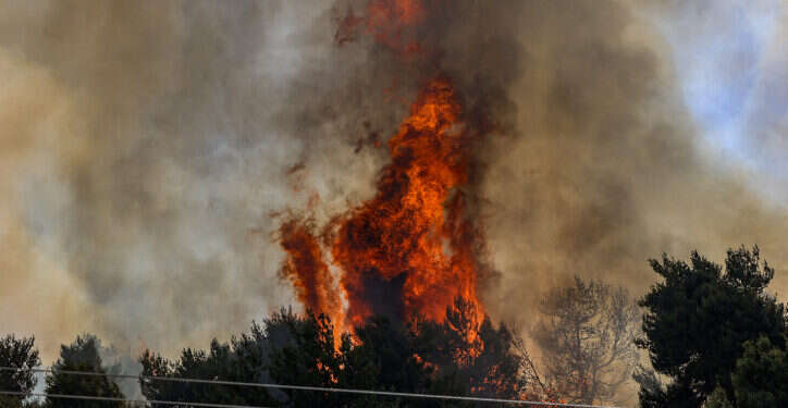 יער ביריה עולה באש, כתוצאה מירי טילי חיזבאללה. צילום: דוד כהן, פלאש 90 יער ביריה עולה באש, כתוצאה מירי טילי חיזבאללה. צילום: דוד כהן, פלאש 90