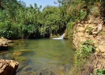 מעיינות, מסלולים ומסעדות: איפה מטיילים השנה בצפון