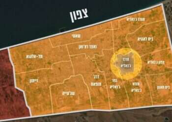 מתוך סרטון שפרסם דו"צ. צילום: דובר צה"ל