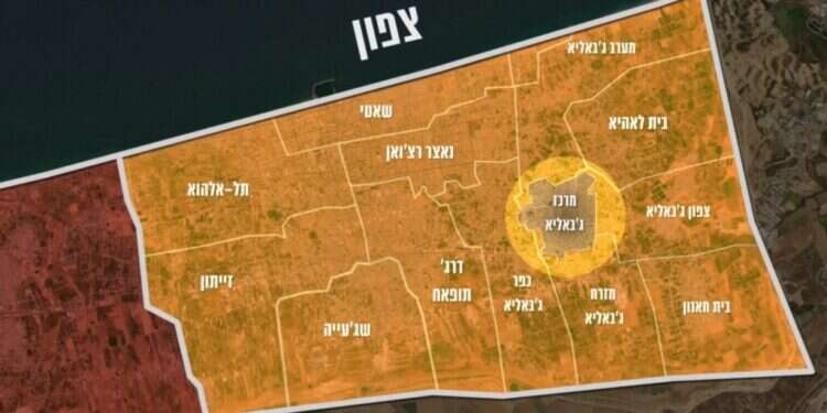 מתוך סרטון שפרסם דו"צ. צילום: דובר צה"ל