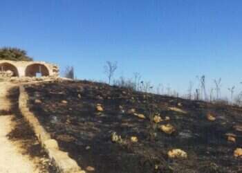 הצתה בהר כביר. קרדיט: שרה קורליק "מלחמה לכל דבר": מספר ההצתות בשומרון הכפיל את עצמו