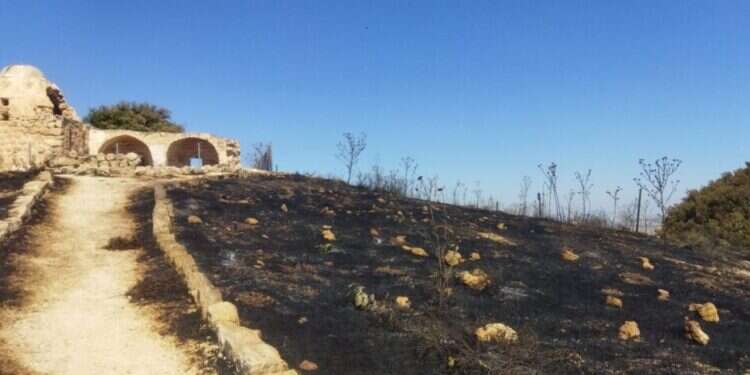 "מלחמה לכל דבר": מספר ההצתות בשומרון הכפיל את עצמו