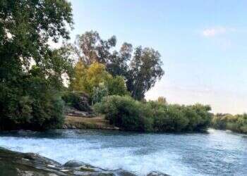 נהר הירדן. צילום: אורלי גולדקלנג