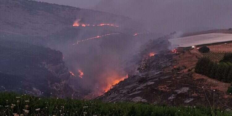 בעקבות ירי חיזבאללה: 45 אלף דונם בצפון נשרפו בשבועיים