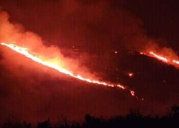 בעקבות ירי חיזבאללה: 45 אלף דונם בצפון נשרפו בשבועיים