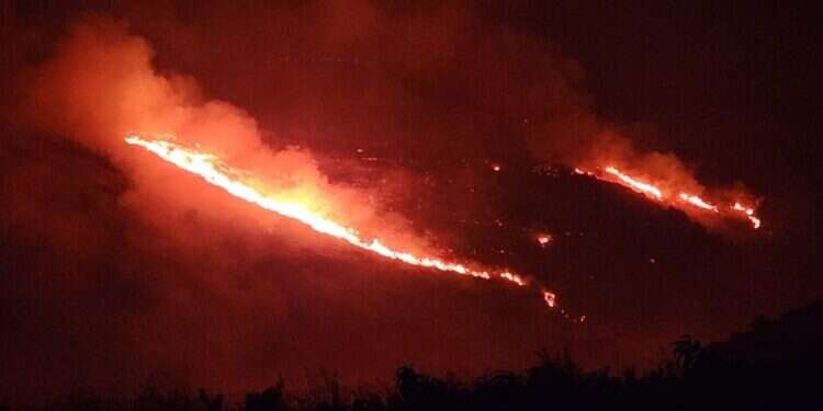 שריפה בנחל אביב שבגליל העליון, בעקבות ירי חיזבאללה. צילום: רשות הטבע והגנים בעקבות ירי חיזבאללה: 45 אלף דונם בצפון נשרפו בשבועיים