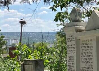 בית הקברות בעיירה (על רקע העיירה). צילום: אדוארד דוקס