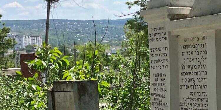 בית הקברות בעיירה (על רקע העיירה). צילום: אדוארד דוקס