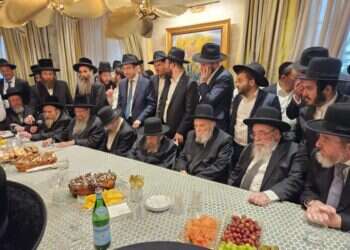 מסע הרבנים החרדים לארה"ב. צילום: י' גפן