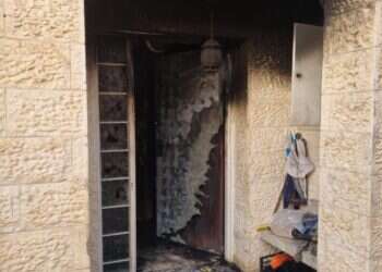 "פעלה כמו לביאה": עדינה זהבי הגנה על ילדיה – ונספתה בשרפה