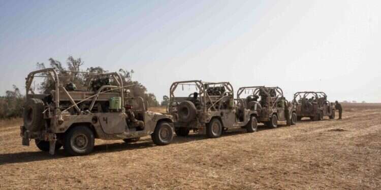 צילום: דובר צה