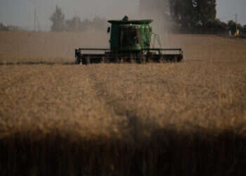 מהר סיני ועד שדות בית לחם – מה שצריך לדעת על שבועות