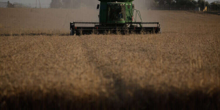 מהר סיני ועד שדות בית לחם – מה שצריך לדעת על שבועות