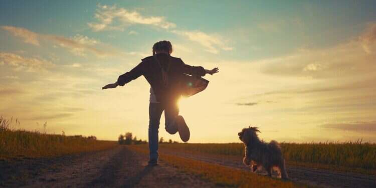 צילום: שאטרסטוק ילד רץ ריצה שדות בשדה כלב