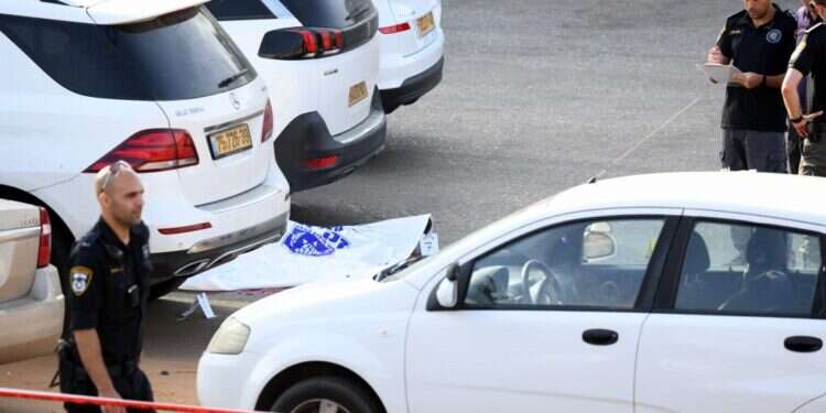 זירת רצח. צילום: יוסי זליגר זירת רצח. צילום: יוסי זליגר