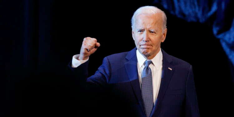 נשיא ארה ג'ו ביידן. צילום: אי.פי.איי