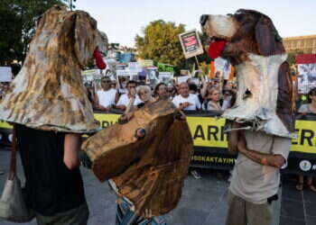 הבעיה האמיתית של טורקיה: כלבים משוטטים