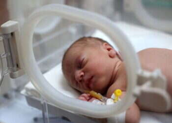 רופאים בעזה: יילדנו תינוק חי מגופת האם שנהרגה