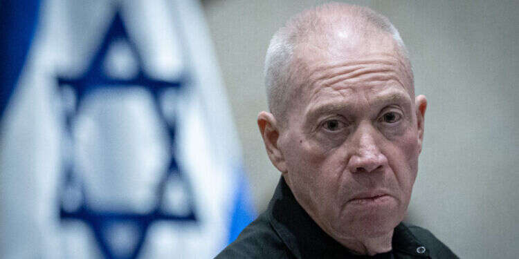 גלנט. צילום: חיים גולדברג, פלאש 90 גלנט/ צילום: חיים גולדברג, פלאש 90