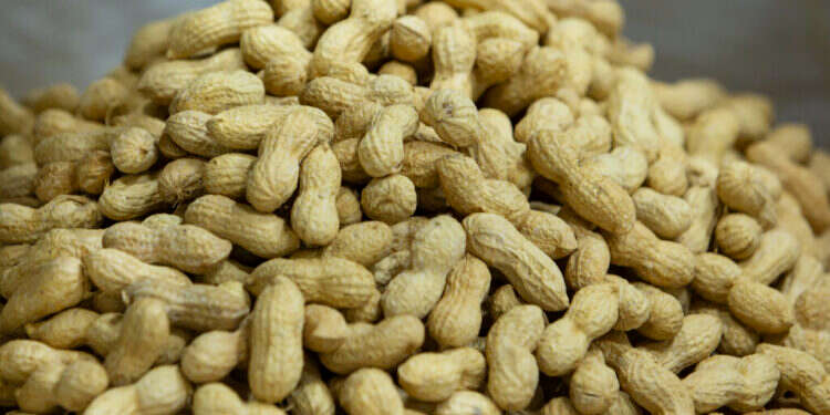 אוסטרליה משיקה תוכנית טיפולים שתרפא תינוקות מאלרגיה לבוטנים