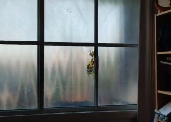 לילה של ירי בלוד: הקורבן – דירת חייל מילואים שיצא מעזה