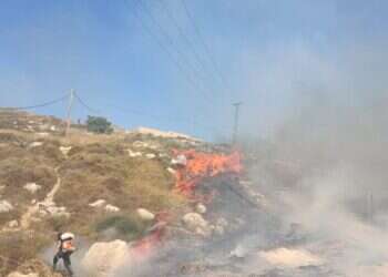 טרור ההצתות ביו"ש: שרפה מתקרבת במהירות ליישוב יצהר