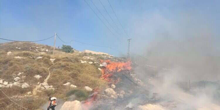 טרור ההצתות ביו"ש: שרפה מתקרבת במהירות ליישוב יצהר