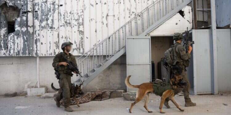 "קדימה להסתער! מחבל נפל!": תיעוד ממצלמות הגוף של הלוחמים בשג׳אעיה