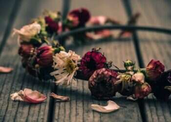 אילוסטרציה: IDEOGRAM איזו תקופה עצובה לחגוג בה יום הולדת