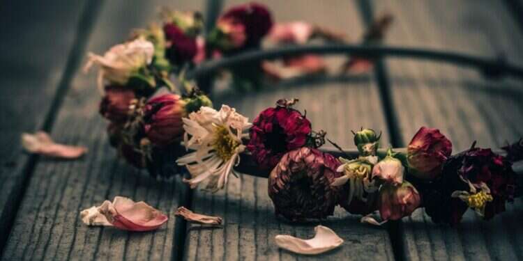 אילוסטרציה: IDEOGRAM איזו תקופה עצובה לחגוג בה יום הולדת