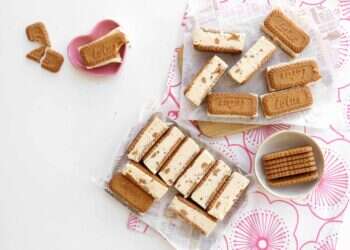 קסטות לוטוס. צילום: אפרת ליכטנשטט