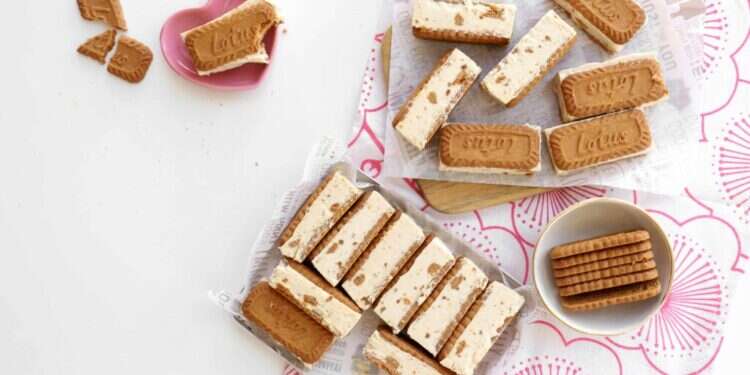 קסטות לוטוס. צילום: אפרת ליכטנשטט קסטות לוטוס. צילום: אפרת ליכטנשטט