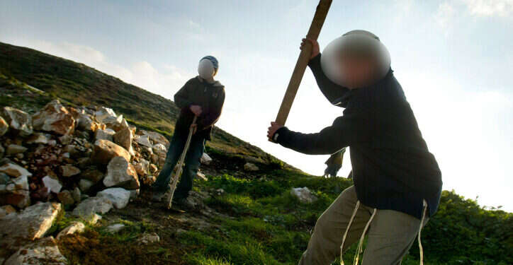 אילוסטרציה. צילום: אוליבייה פיטוסי, פלאש 90 עבודה עברית נוער הגבעות יהודה ושומרון