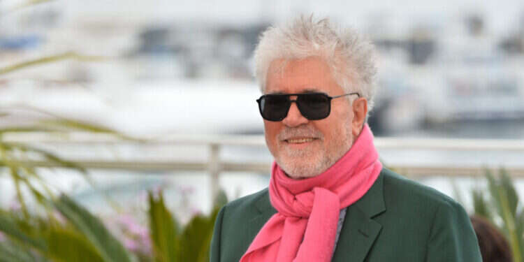 שיטוט בתוך ראשו הצבעוני של היוצר. פרדו אלמודובר, 2019. צילום: שאטרסטוק שיטוט בתוך ראשו הצבעוני של היוצר. פרדו אלמודובר, 2019. צילום: שאטרסטוק