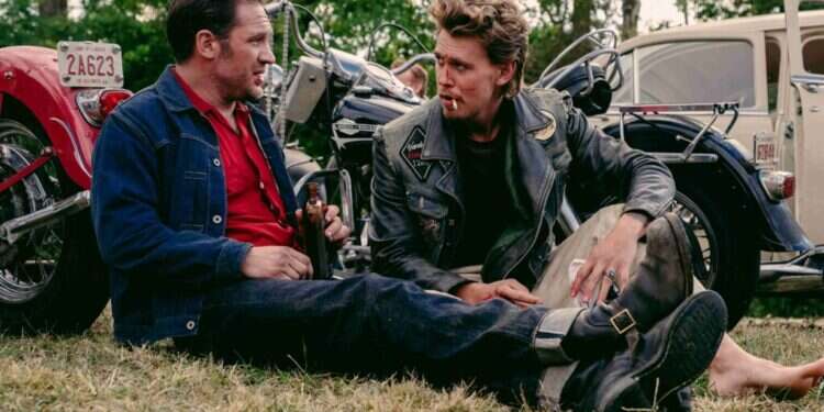 צילום: באדיבות טוליפ אנטרטיינמנט