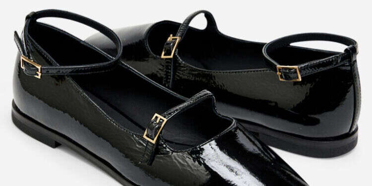 צילום: עמית מוסר