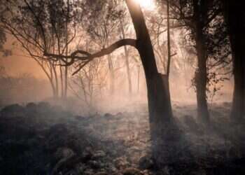 שרפה שריפה שרפות שריפות חיזבאללה טילים רמת הגולן לוחמי אש כבאות והצלה
