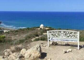 מחפשים מסלול ירוק, בילוי ממוזג או מקום לאכול? חיפה מחכה לכם